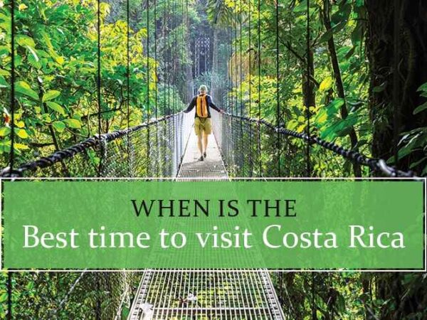 Best Months to Visit Costa Rica
